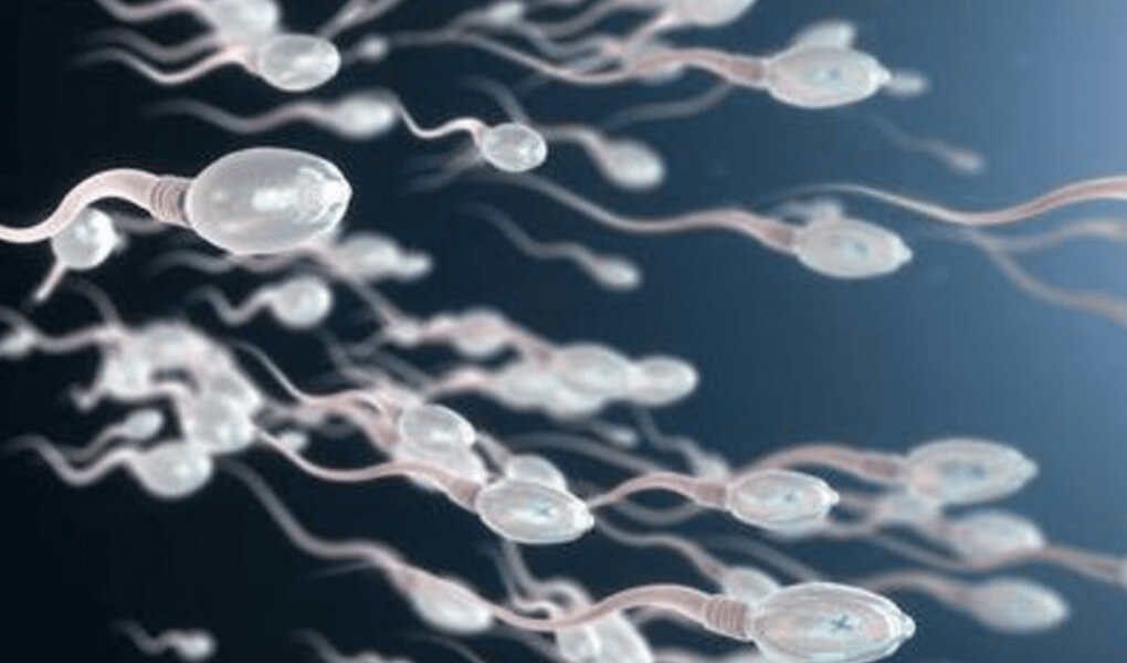 Rüyada Bir Erkek Koyu Spermi Çok Görmek