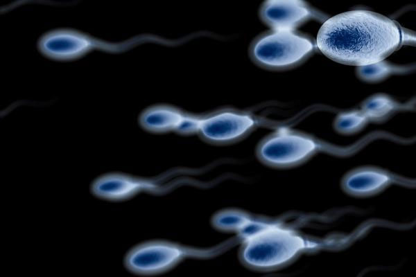 Rüyada Erkek Spermi Görmek ve Yutmak